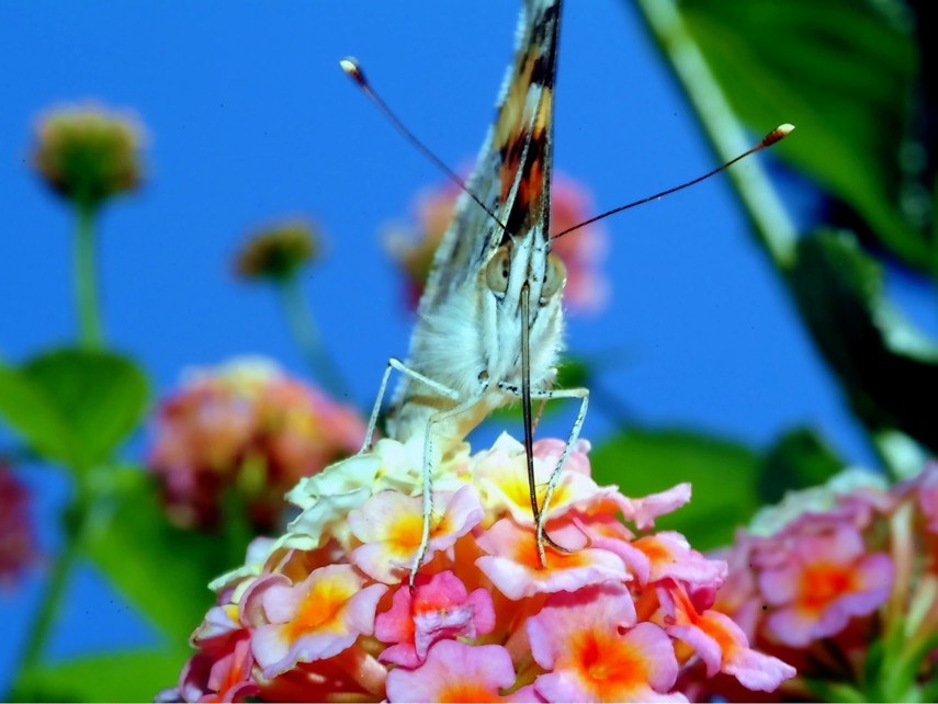 Immagini di archivio